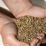 What Should You Consider When Choosing Animal Feed?